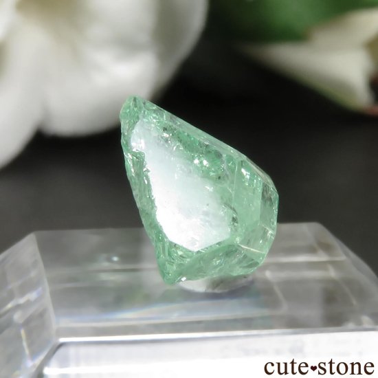󥶥˥ ĥܥ饤ȡʥå顼ͥåȡˤθ No.27μ̿0 cute stone