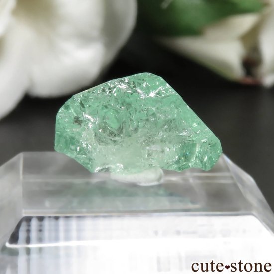 󥶥˥ ĥܥ饤ȡʥå顼ͥåȡˤθ No.27μ̿1 cute stone
