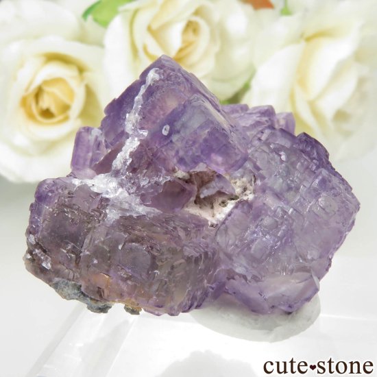 ꥫ ˥塼ᥭ ѡץߥ꡼ե饤Ȥθ No.18μ̿0 cute stone