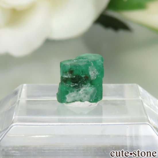 パキスタン Swat産のエメラルドの原石 No.9 - cute stone -