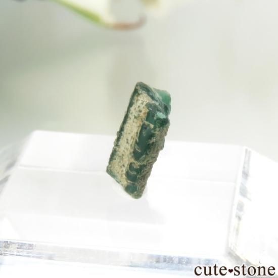 ӥ ॾ ȥԥåɤθ No.2μ̿0 cute stone