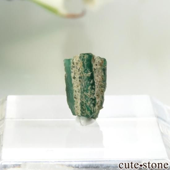 ӥ ॾ ȥԥåɤθ No.2μ̿1 cute stone