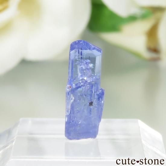 󥶥˥ ˻ 󥶥ʥȤθСʲǮ No.79μ̿1 cute stone