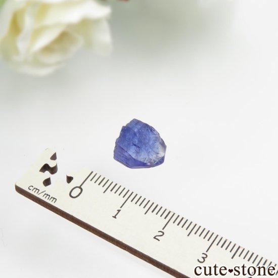 󥶥˥ ˻ 󥶥ʥȤθСʲǮ No.80μ̿3 cute stone