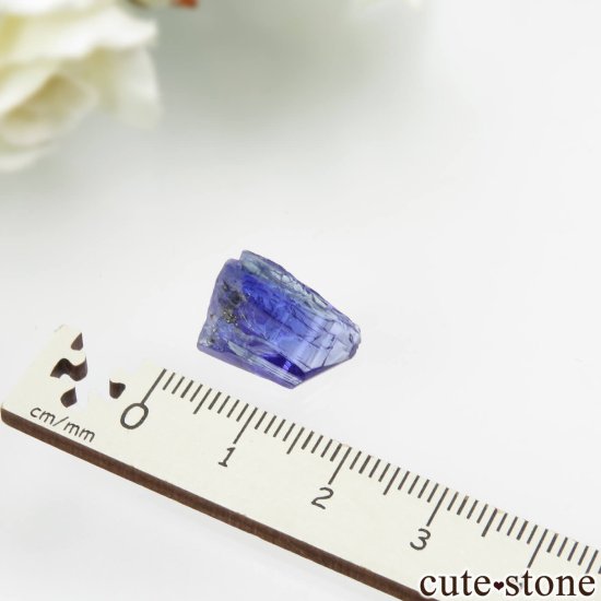 󥶥˥ ˻ 󥶥ʥȤθСʲǮ No.82μ̿3 cute stone