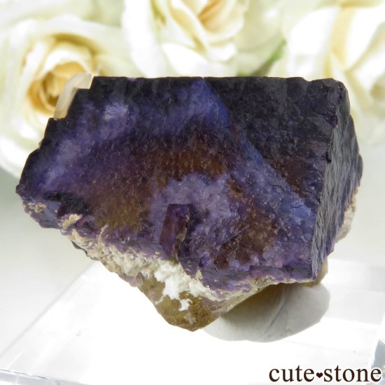 Υ Cave-in-Rock ѡץߥե饤ȡ륵Ȥθ No.15μ̿1 cute stone