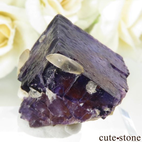 Υ Cave-in-Rock ѡץߥե饤ȡ륵Ȥθ No.15μ̿2 cute stone
