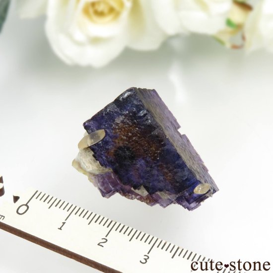 Υ Cave-in-Rock ѡץߥե饤ȡ륵Ȥθ No.15μ̿5 cute stone