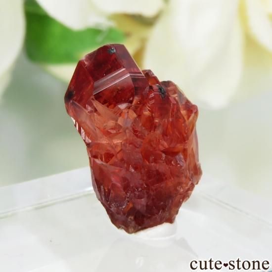 南アフリカ N'Chwaning I Mine産 ロードクロサイトの原石 No.16