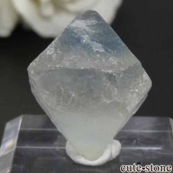 ꥫ ˥塼ᥭ ȬΡʤؤ뾽˥ե饤 No.1μ̿2 cute stone