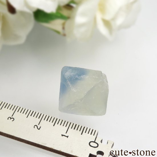ꥫ ˥塼ᥭ ȬΡʤؤ뾽˥ե饤 No.1μ̿3 cute stone