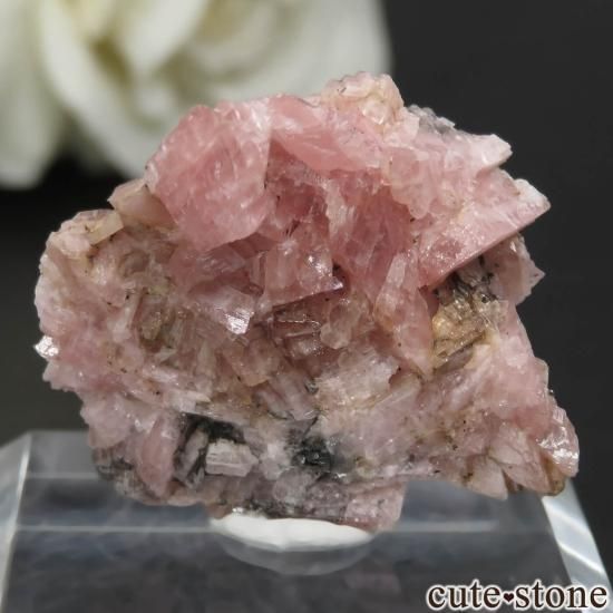 ̳ƻ йۻ ɥȤθ No.1μ̿1 cute stone