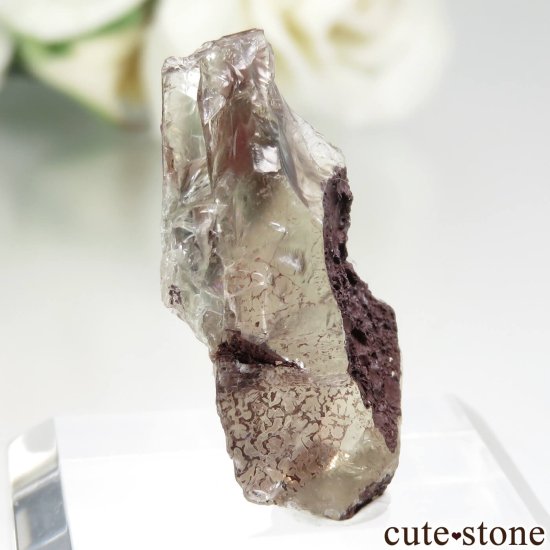쥴󥵥󥹥ȡθ No.9μ̿1 cute stone