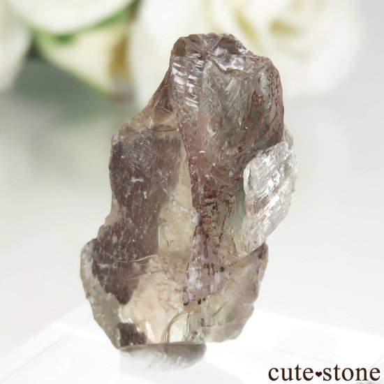 쥴󥵥󥹥ȡθ No.9μ̿2 cute stone