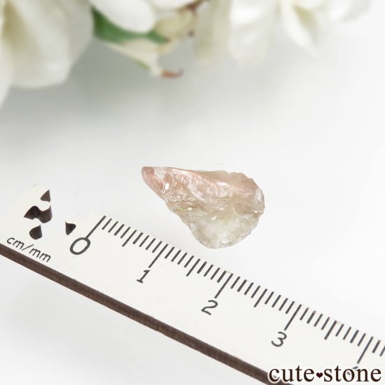 쥴󥵥󥹥ȡθ No.10μ̿1 cute stone