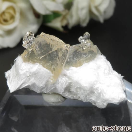  Lonavala 顼쥹ߥݥե饤ȡǥʥȤθ No.1μ̿1 cute stone