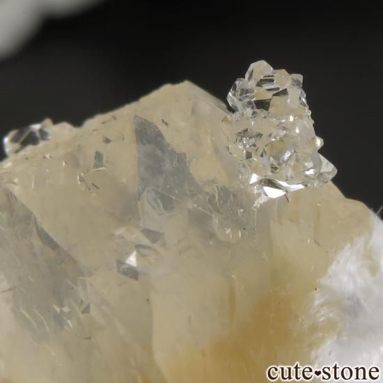  Lonavala 顼쥹ߥݥե饤ȡǥʥȤθ No.1μ̿3 cute stone