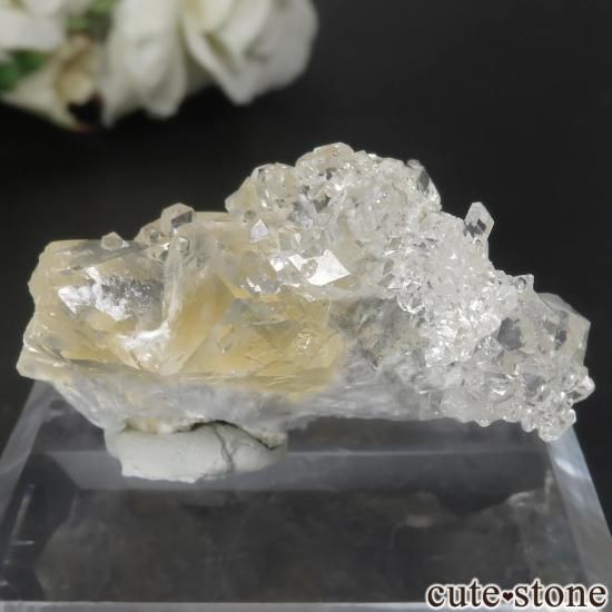  Lonavala 顼쥹ߥݥե饤ȡǥʥȤθ No.2μ̿1 cute stone