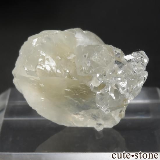  Lonavala 顼쥹ߥݥե饤ȡǥʥȤθ No.4μ̿1 cute stone