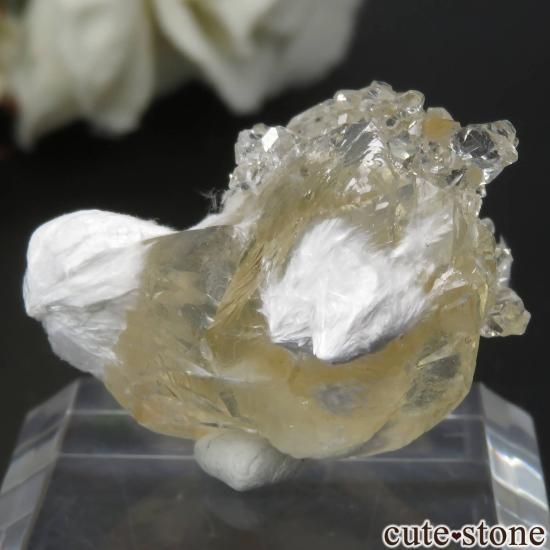  Lonavala 顼쥹ߥݥե饤ȡǥʥȤθ No.6μ̿1 cute stone