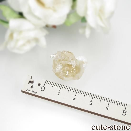  Lonavala 顼쥹ߥݥե饤ȡǥʥȤθ No.6μ̿3 cute stone