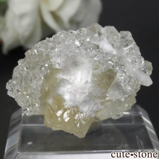  Lonavala 顼쥹ߥݥե饤ȡǥʥȤθ No.8μ̿1 cute stone