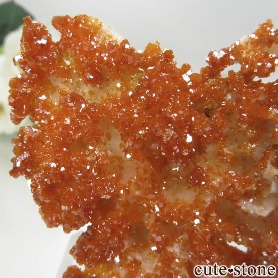 å ACF Mine ХʥʥȤθ No.7μ̿1 cute stone