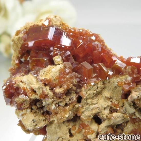 å ACF Mine ХʥʥȤθ No.8μ̿1 cute stone