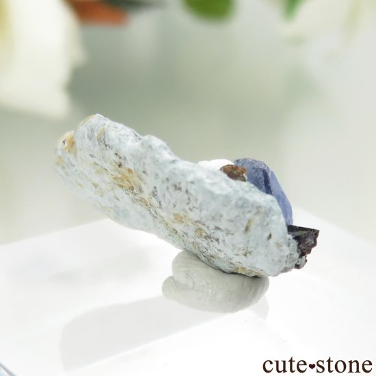 ե˥ California State Gem Mine ٥˥ȥȡͥץʥȡ祢ʥȤθ No.124μ̿0 cute stone