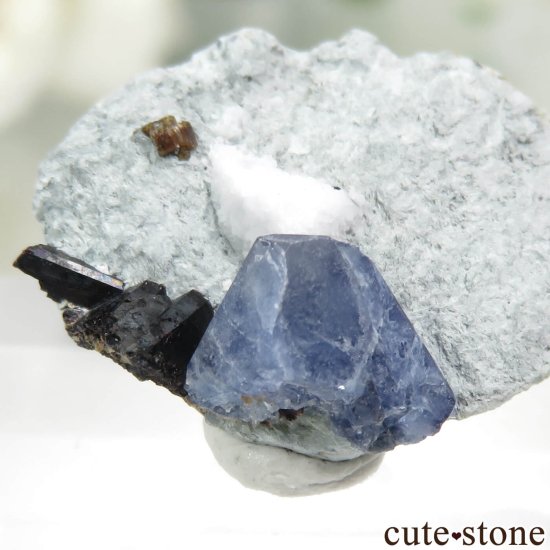 ե˥ California State Gem Mine ٥˥ȥȡͥץʥȡ祢ʥȤθ No.124μ̿1 cute stone