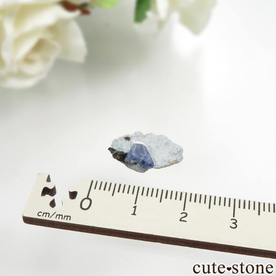 ե˥ California State Gem Mine ٥˥ȥȡͥץʥȡ祢ʥȤθ No.124μ̿2 cute stone