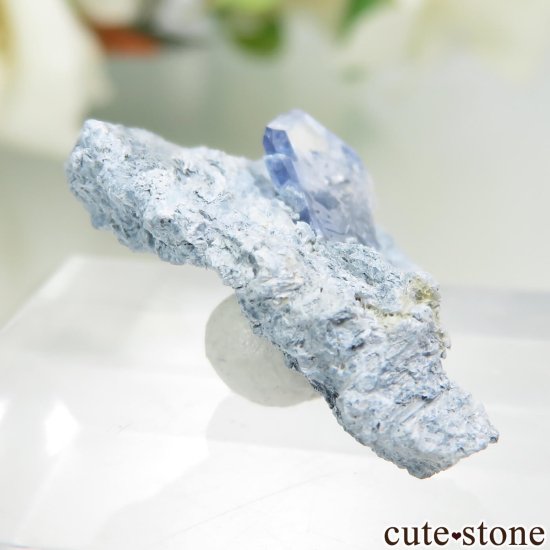 ե˥ California State Gem Mine ٥˥ȥȤθ No.125μ̿0 cute stone