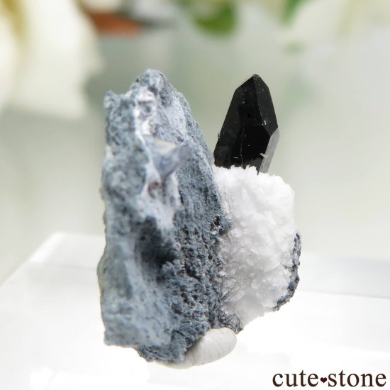 ե˥ ٥˥ȥȡͥץʥȤդ No.126μ̿0 cute stone