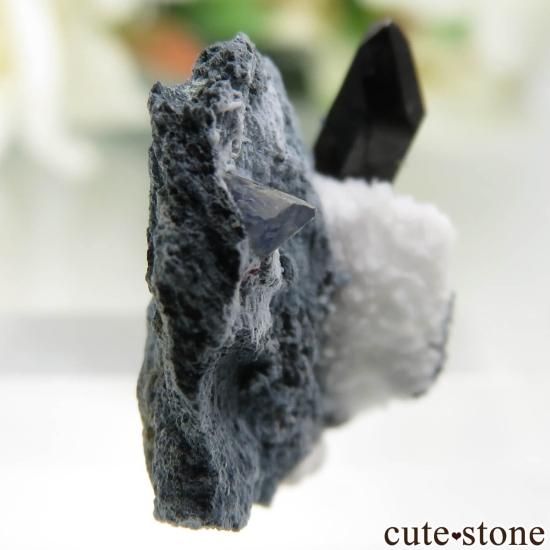 ե˥ ٥˥ȥȡͥץʥȤդ No.126μ̿1 cute stone