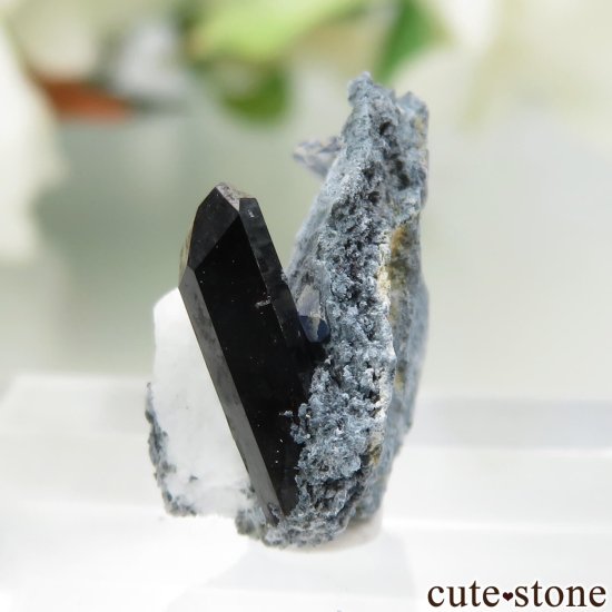 ե˥ ٥˥ȥȡͥץʥȤդ No.126μ̿2 cute stone