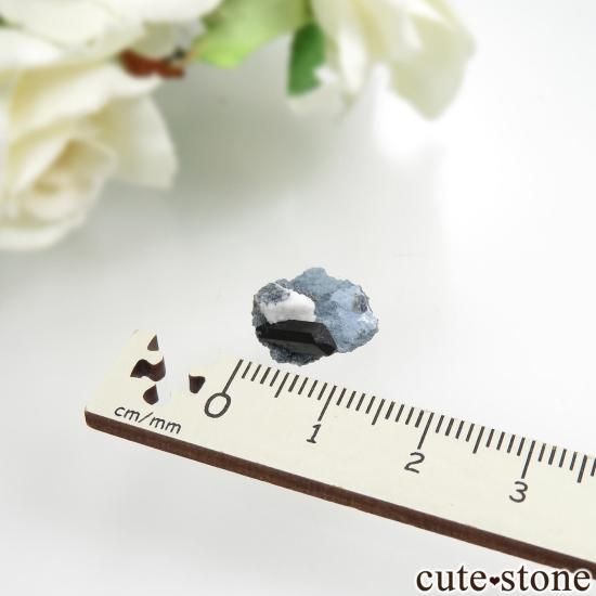ե˥ ٥˥ȥȡͥץʥȤդ No.126μ̿3 cute stone