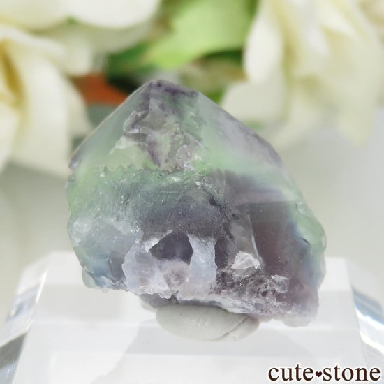 ڥ Gloria Mine ꡼ߥѡץ֥롼ե饤Ȥθ No.3μ̿1 cute stone