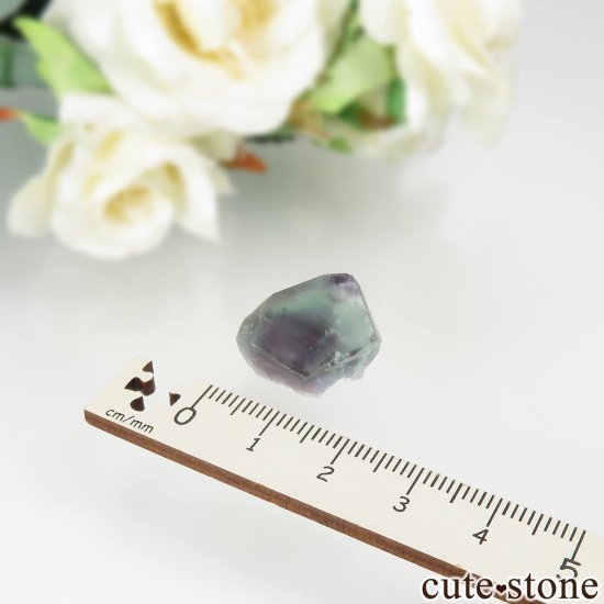ڥ Gloria Mine ꡼ߥѡץ֥롼ե饤Ȥθ No.3μ̿3 cute stone