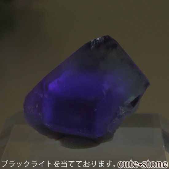 ڥ Gloria Mine ꡼ߥѡץ֥롼ե饤Ȥθ No.3μ̿4 cute stone