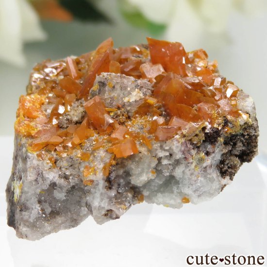 ꥫ ꥾ʽ Red Cloud Mine եʥȤθ No.1μ̿2 cute stone