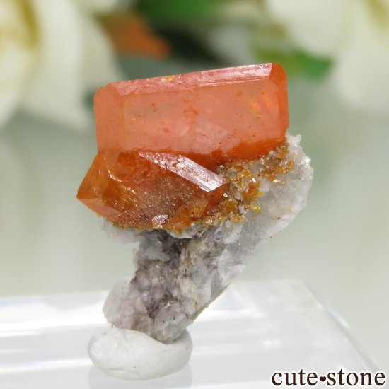 ꥫ ꥾ʽ Red Cloud Mine եʥȤθ No.2μ̿1 cute stone