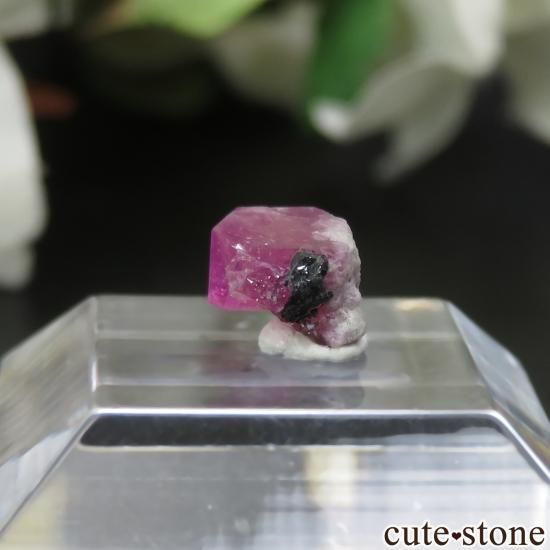 ꥫ 楿 åɥ٥θ No.25μ̿1 cute stone