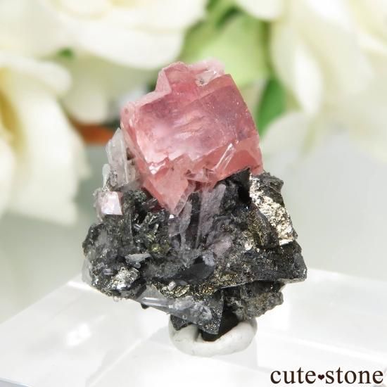 ɽ Sweet Home Mine Blue Moon Pocket ɥ&Ĥθ No.12μ̿0 cute stone