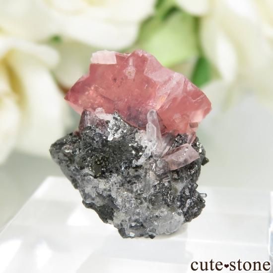 ɽ Sweet Home Mine Blue Moon Pocket ɥ&Ĥθ No.12μ̿1 cute stone