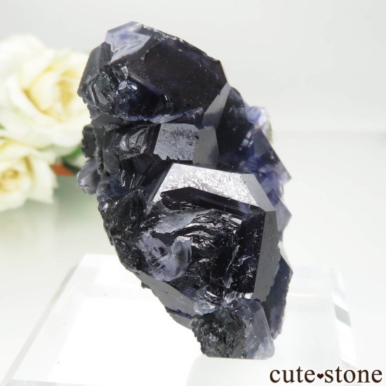 ʡ Xia Yang Mine ѡץ֥롼ե饤Ȥθ No.36μ̿0 cute stone
