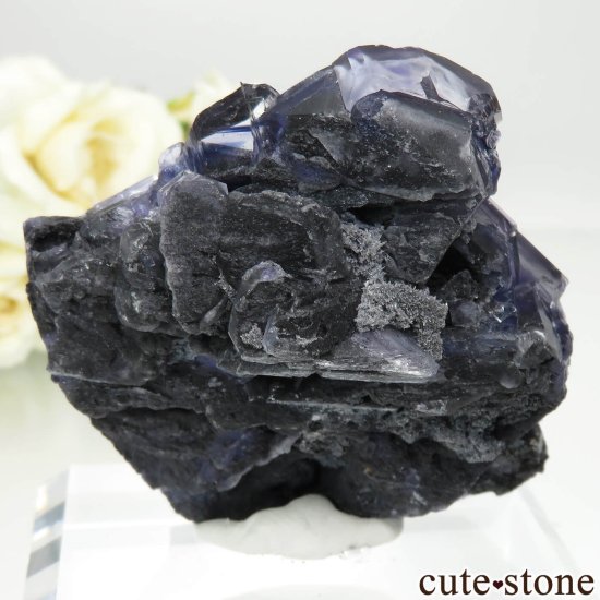 ʡ Xia Yang Mine ѡץ֥롼ե饤Ȥθ No.36μ̿1 cute stone