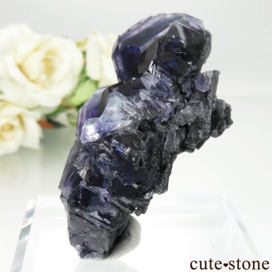 ʡ Xia Yang Mine ѡץ֥롼ե饤Ȥθ No.36μ̿2 cute stone