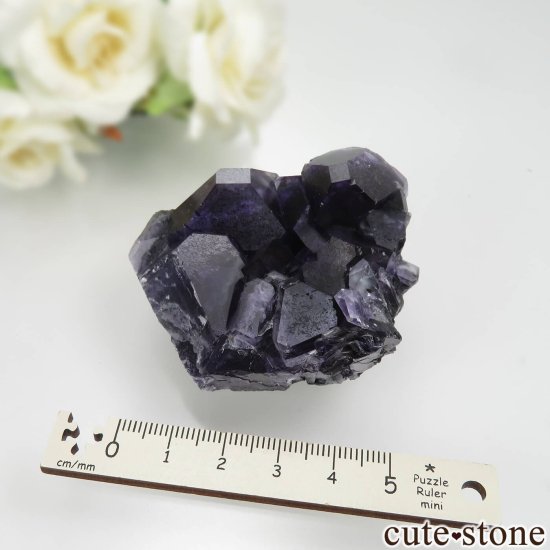 ʡ Xia Yang Mine ѡץ֥롼ե饤Ȥθ No.36μ̿5 cute stone