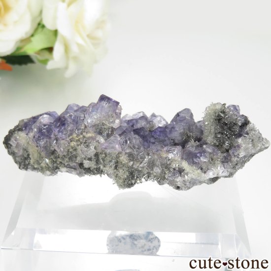 ʡ Xia Yang Mine ե饤ȡĤդ No.37μ̿1 cute stone