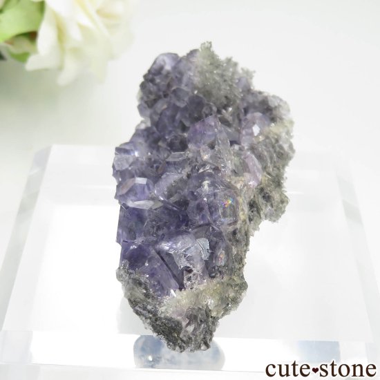 ʡ Xia Yang Mine ե饤ȡĤդ No.37μ̿2 cute stone
